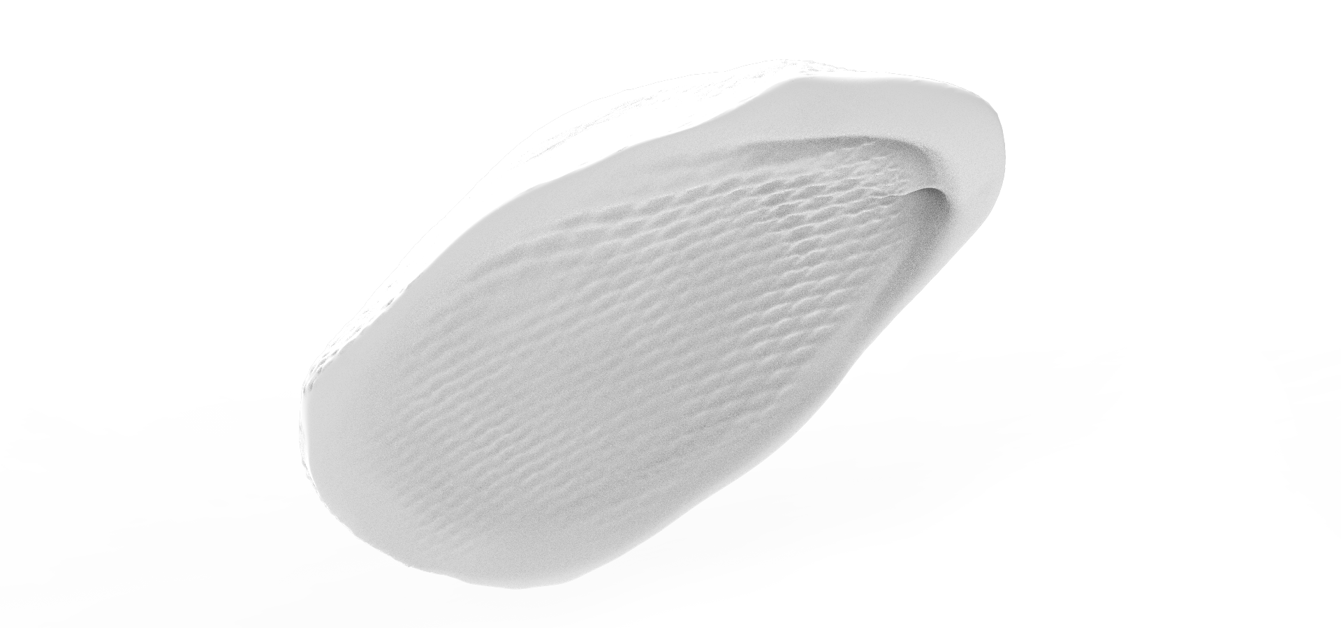 Archaeoglobus