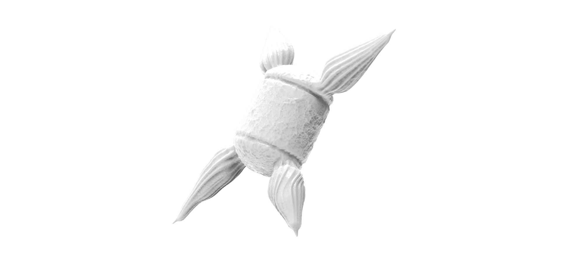 Chaetoceros